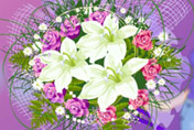 game Fabulous Flowers