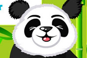 game Panda Care